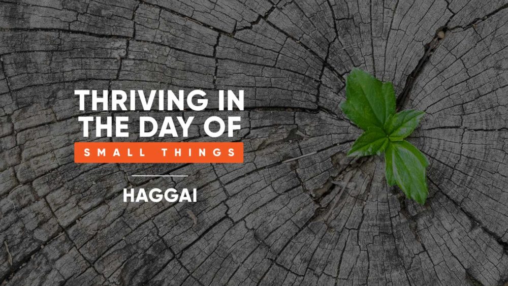 Haggai: Thriving in the Day of Small Things